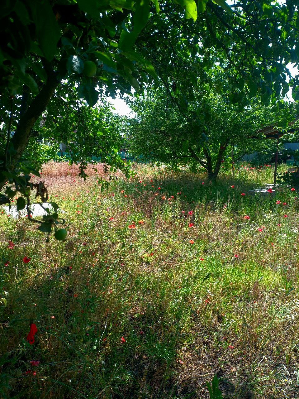 Фото виконаної роботи 1