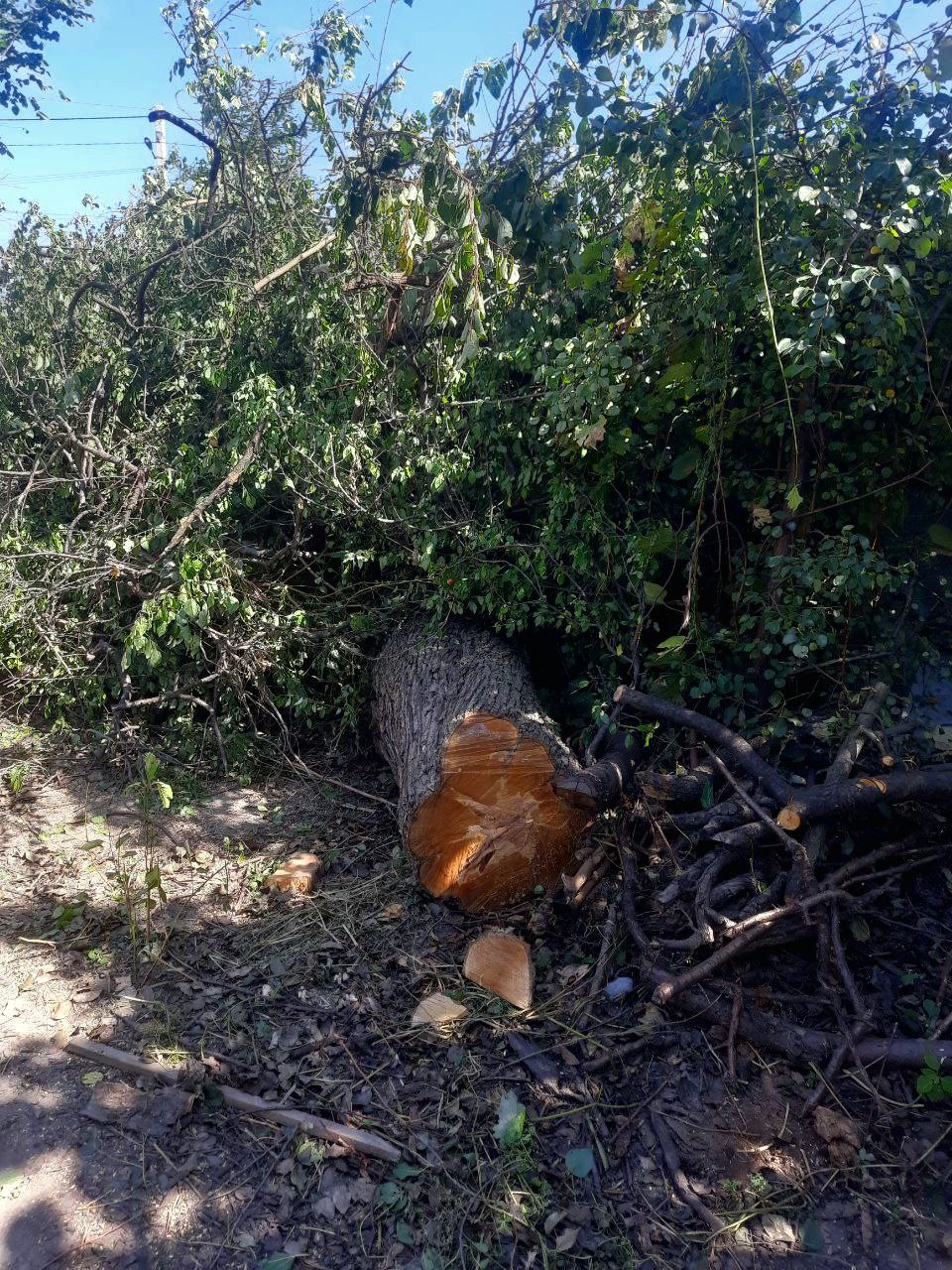 Фото виконаної роботи 8